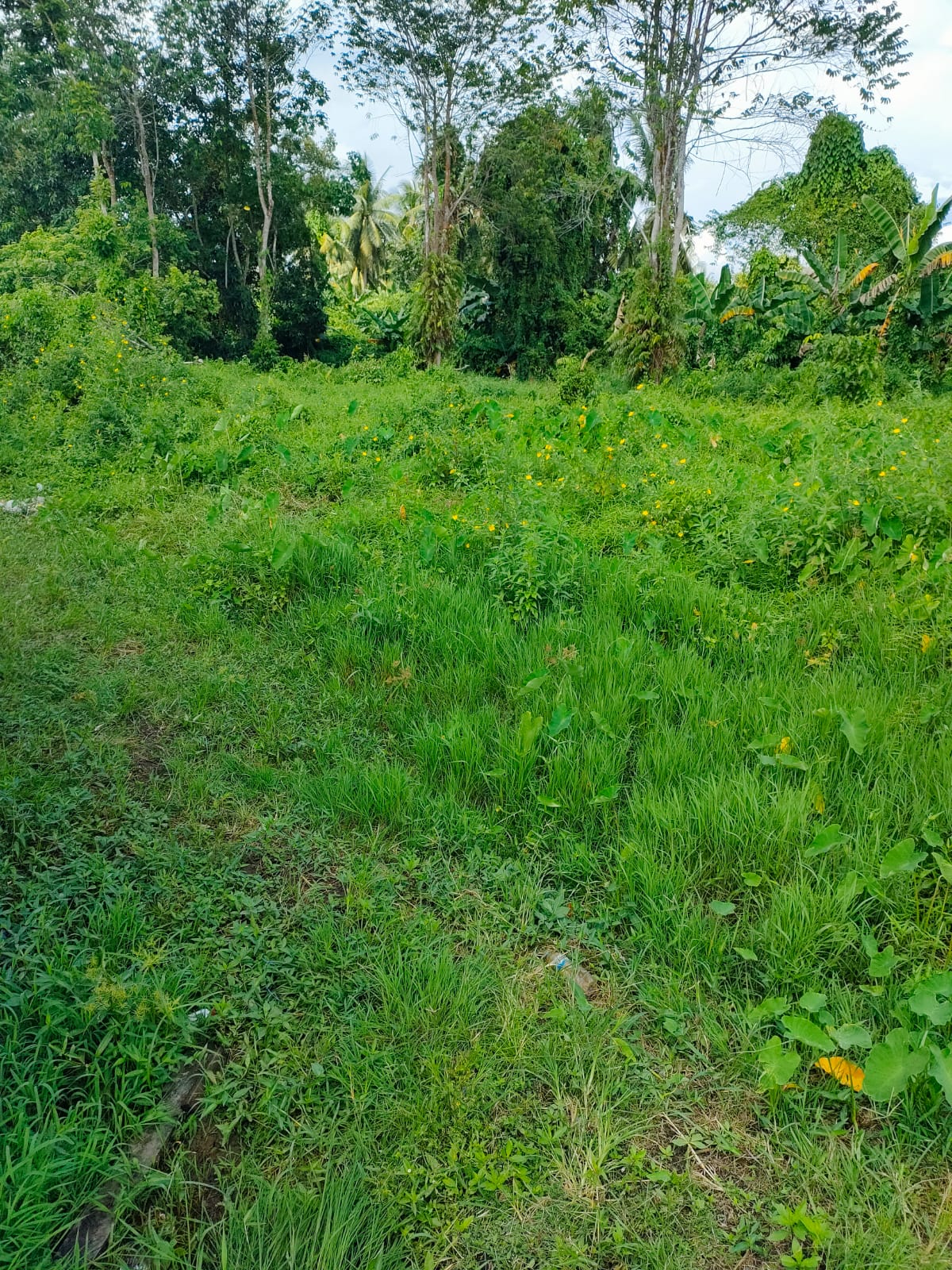 DIJUAL CEPAT, TANAH DI TERITIP