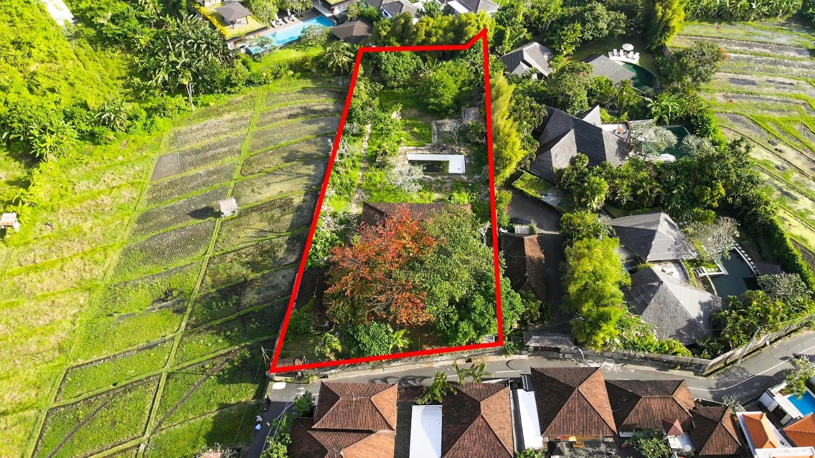 Tanah dan Villa Sangat Langka di Umalas