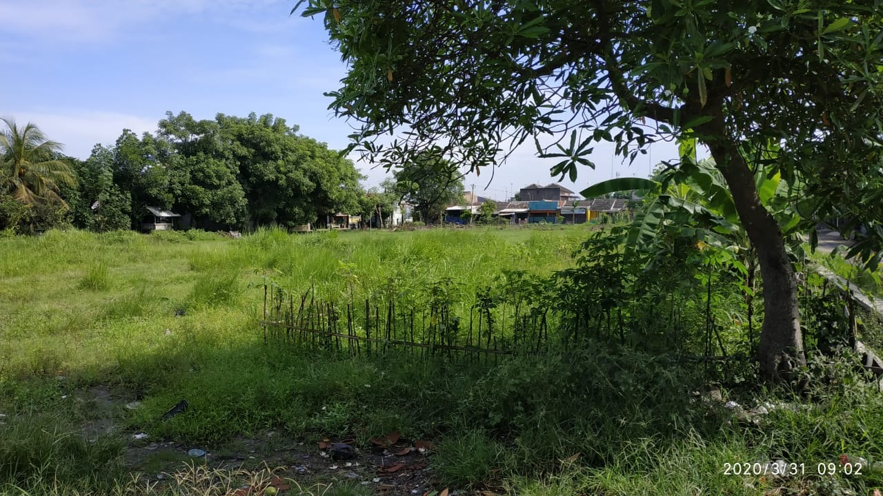 Jual Cepat Tanah Kavling Cocok Untuk Perumahan di Kawarang Jawa Barat