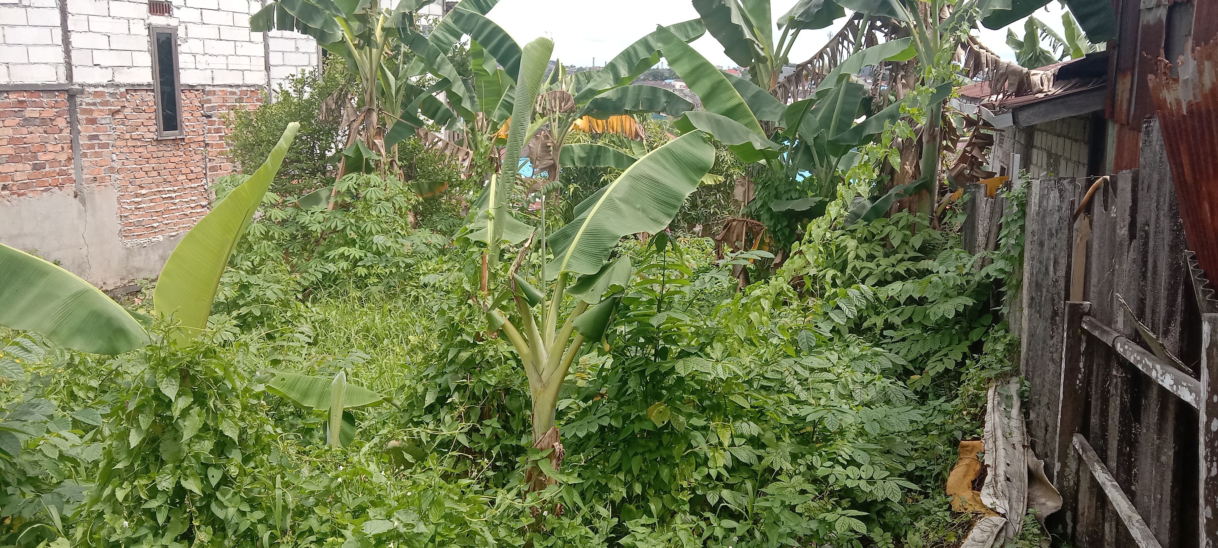 Di Jual Tanah Pinggir Jalan di Gn. Samarinda