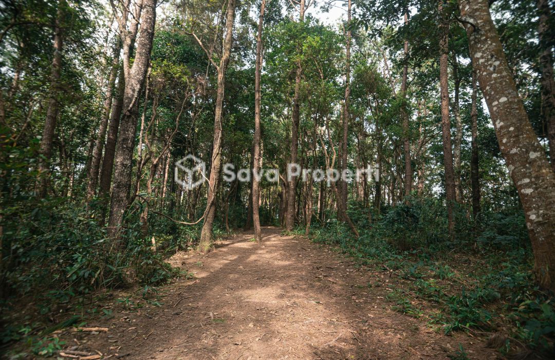 Kavling Siap Bangun di kota Jambi