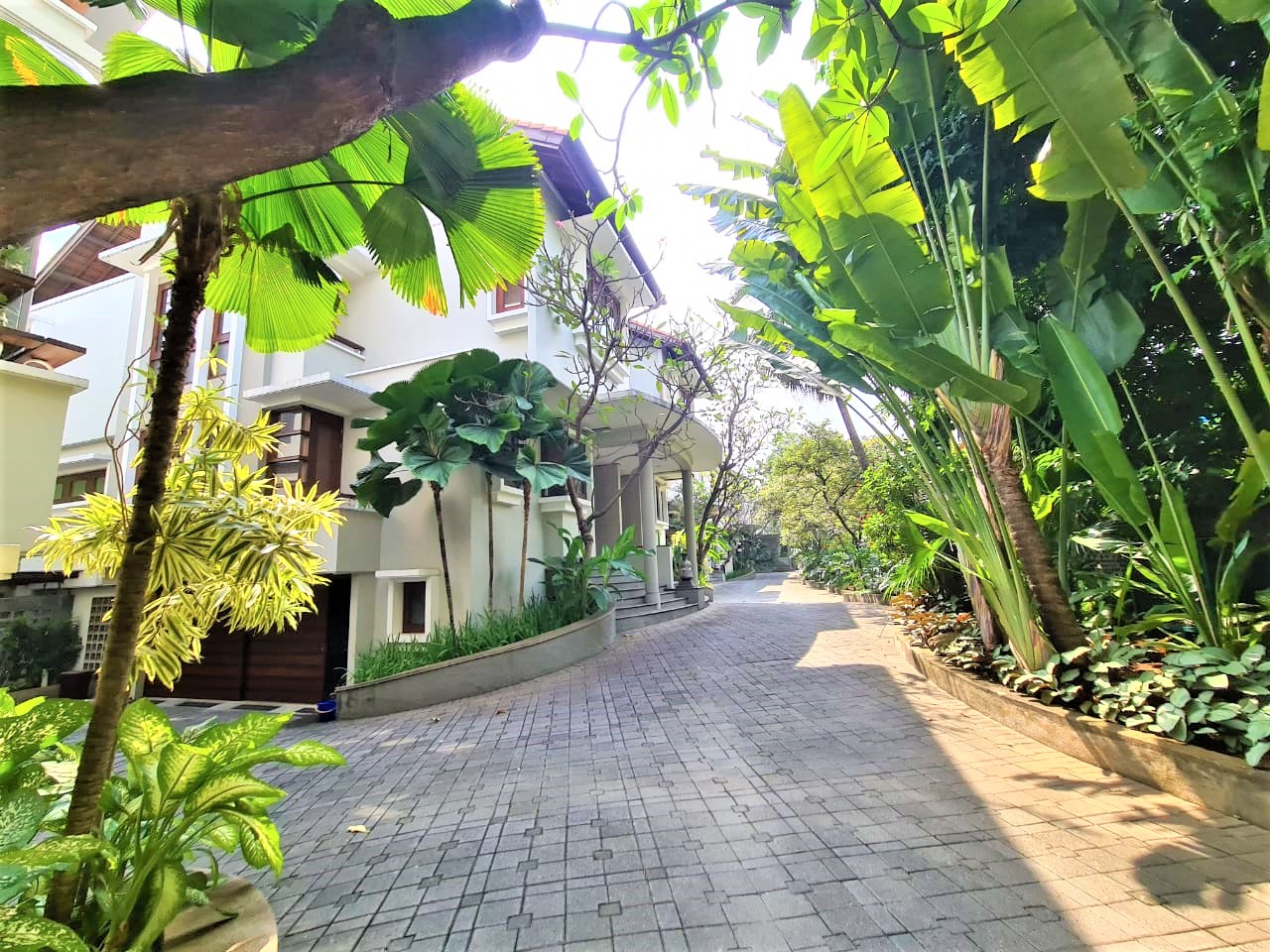 Disewakan Town House Bernuansa Asri Kondisi Un Furnished Siap Huni di Cipete Jakarta Selatan